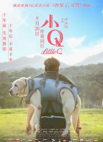 反观某些改编，比如《刺客信条》把伊甸苹果拍成麦高芬，完全沦为跑酷MV，这就是导演对游戏美学的误读。